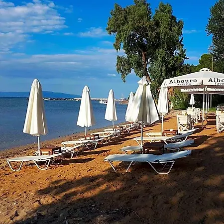 호텔 Albouro Seafront 3*