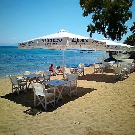 호텔 Albouro Seafront 케텔리오스